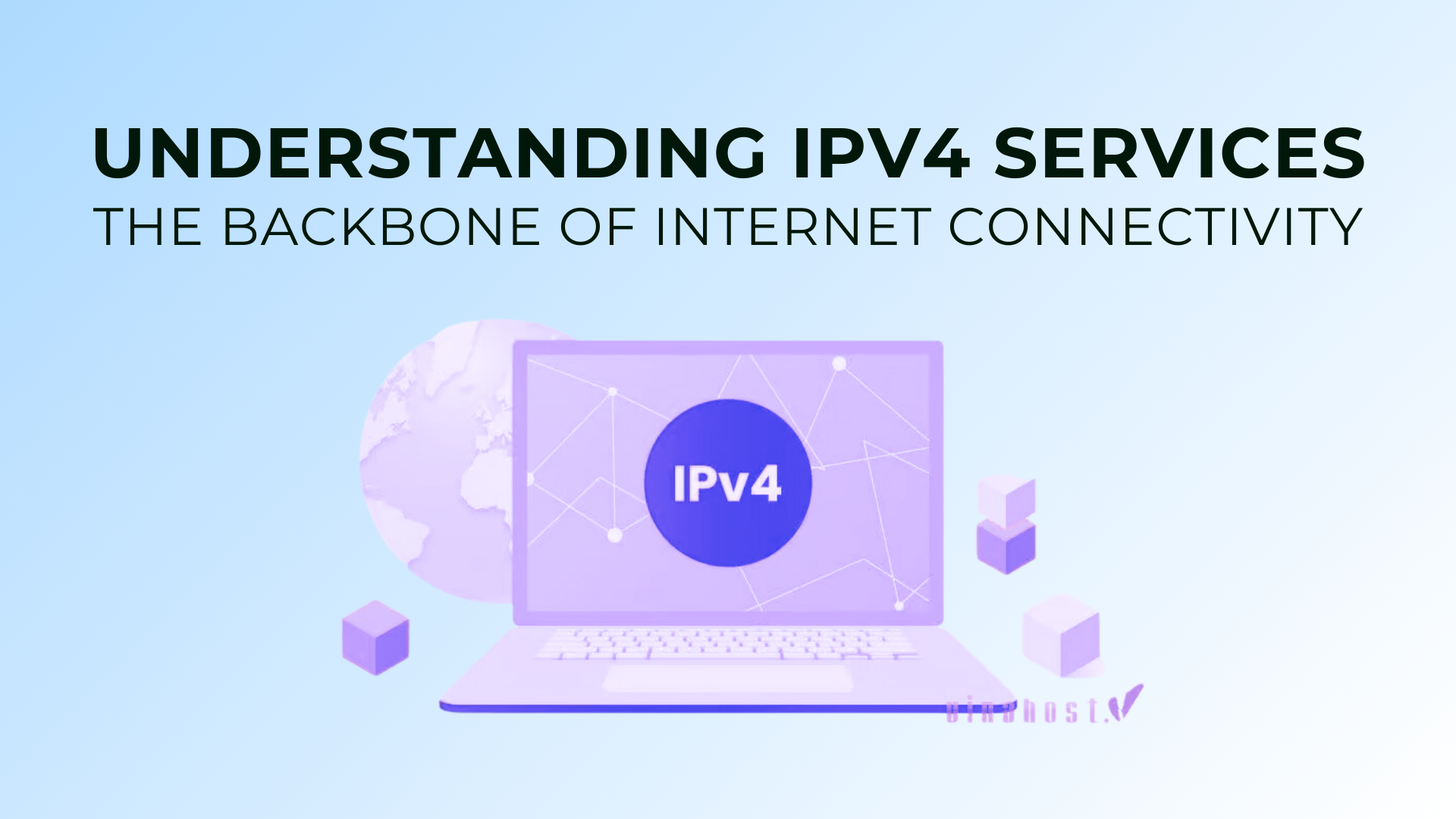 Understanding IPv4 Services