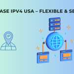 Lease IPv4 in USA