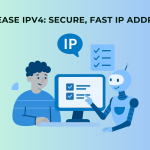 lease ipv4